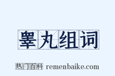 睾丸组词是什么意思的图片